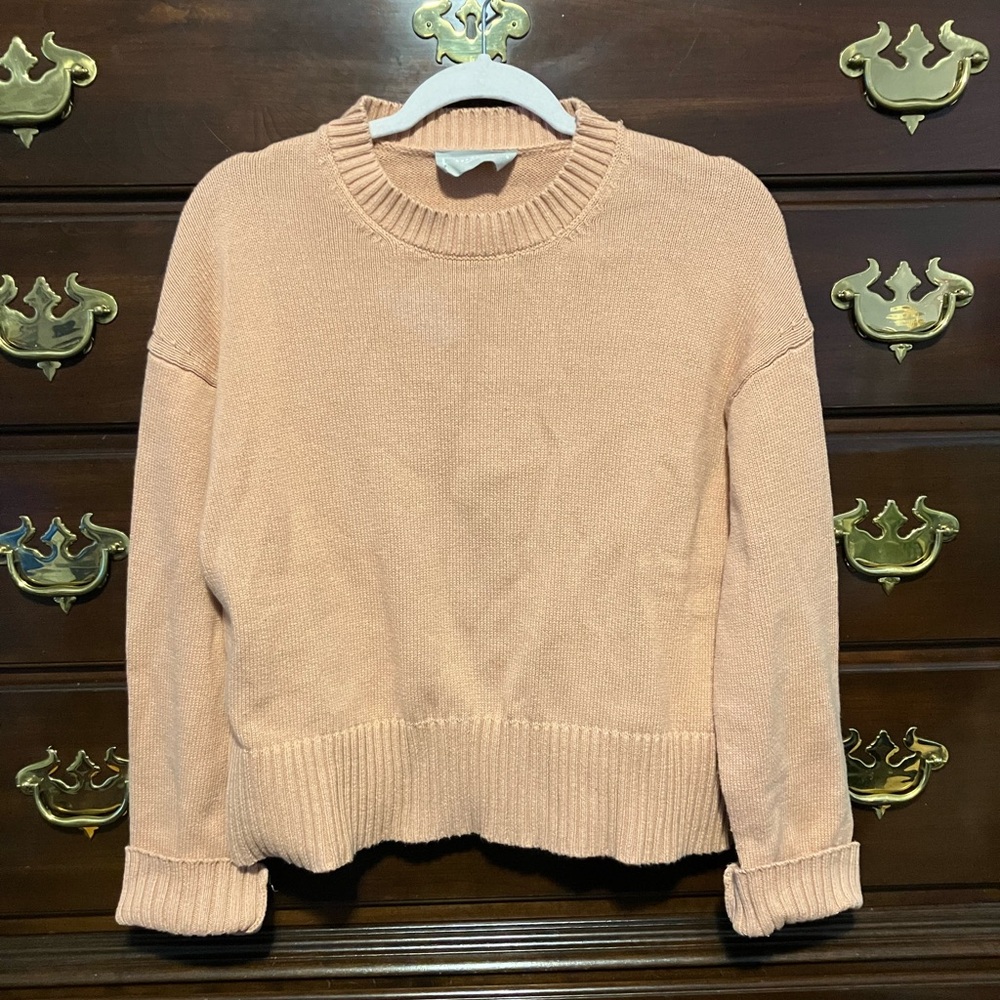 Everlane Organic Cotton Crewneck Sweater (pink) Small